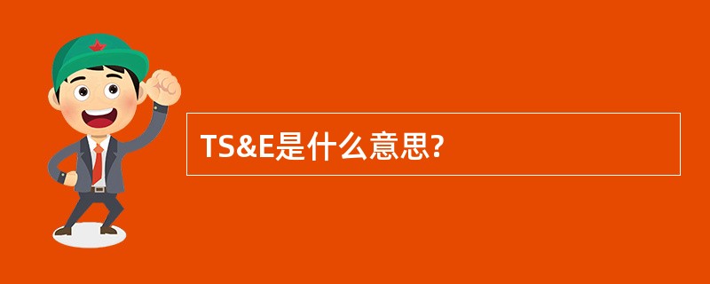 TS&amp;E是什么意思?