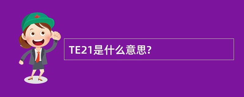 TE21是什么意思?