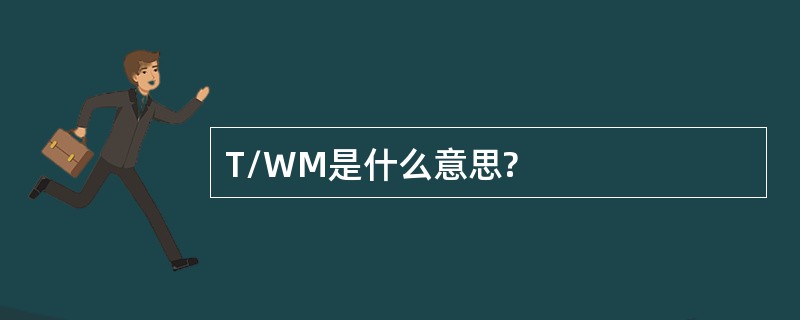 T/WM是什么意思?