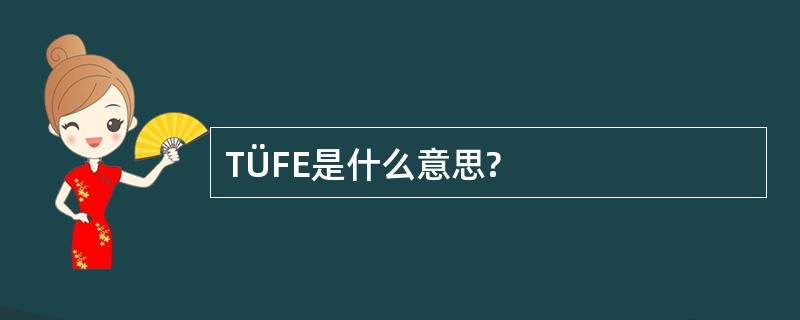 TÜFE是什么意思?