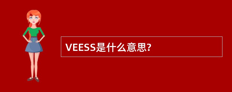 VEESS是什么意思?