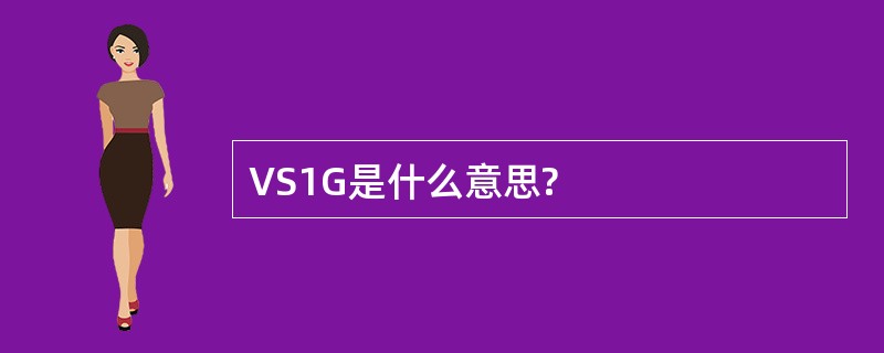 VS1G是什么意思?