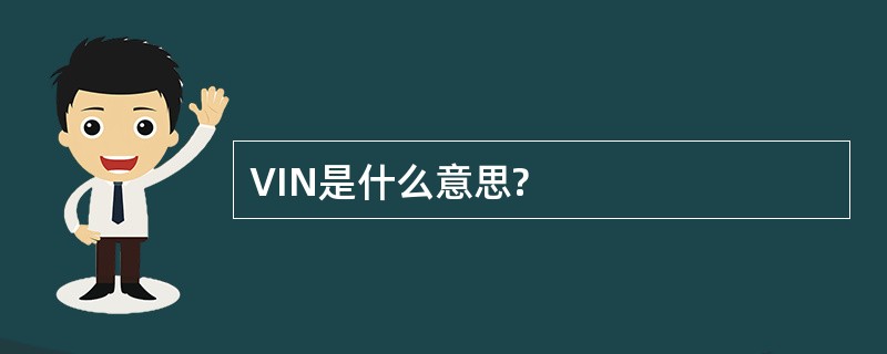 VIN是什么意思?