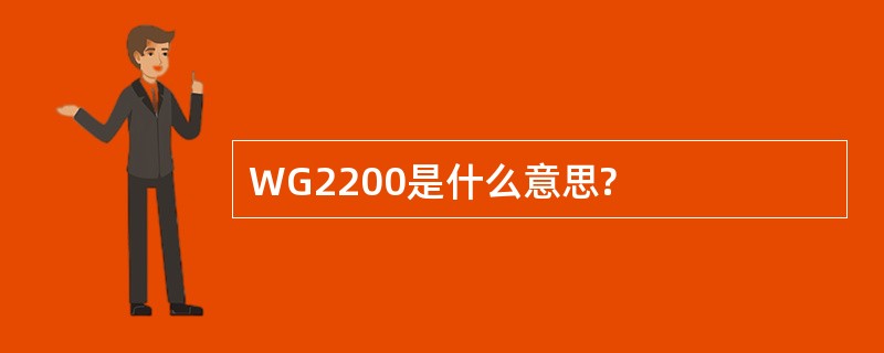 WG2200是什么意思?