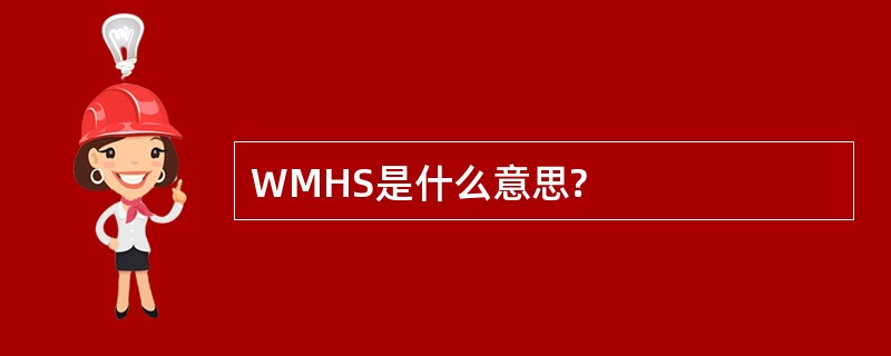 WMHS是什么意思?