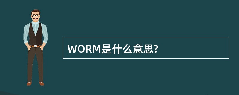 WORM是什么意思?