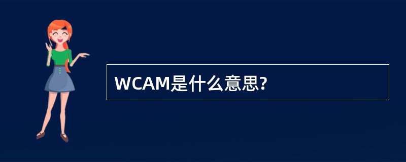 WCAM是什么意思?