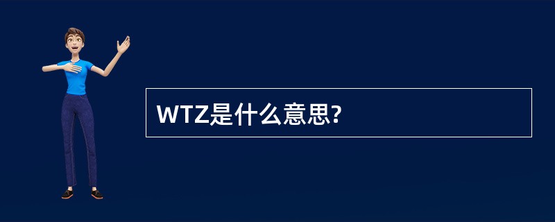 WTZ是什么意思?