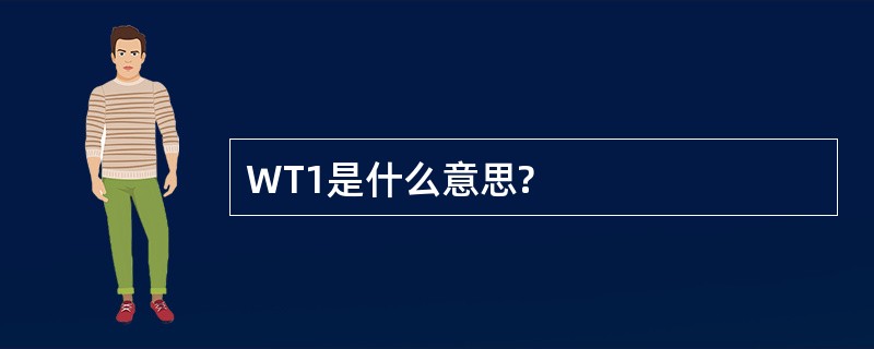 WT1是什么意思?