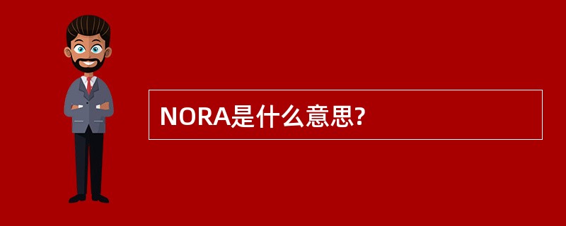 NORA是什么意思?