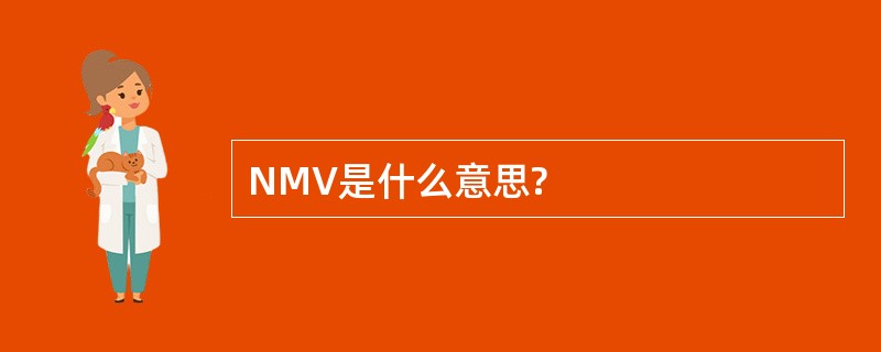 NMV是什么意思?