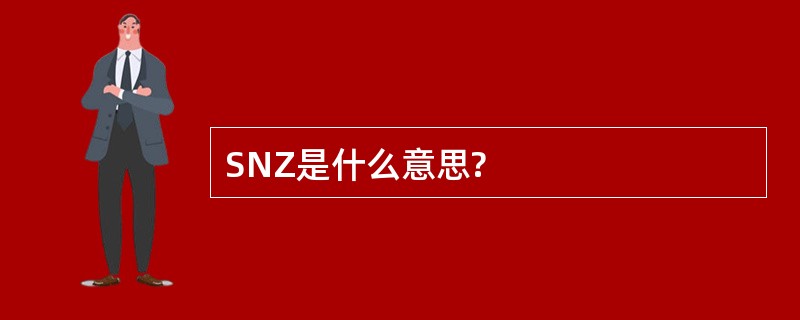 SNZ是什么意思?