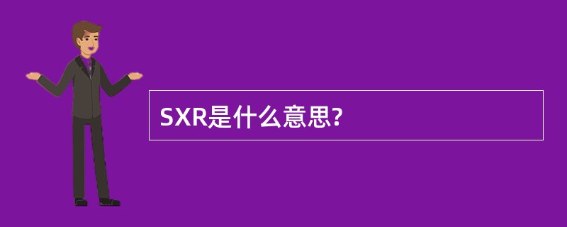 SXR是什么意思?