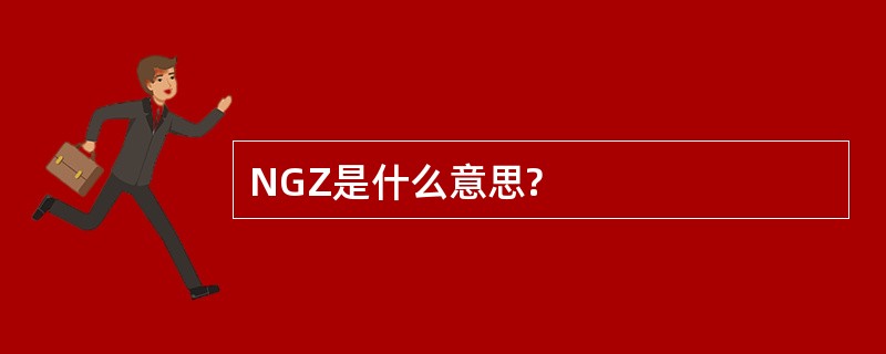 NGZ是什么意思?