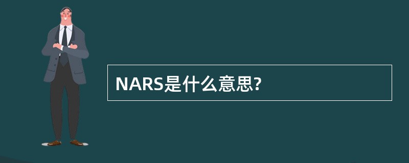 NARS是什么意思?