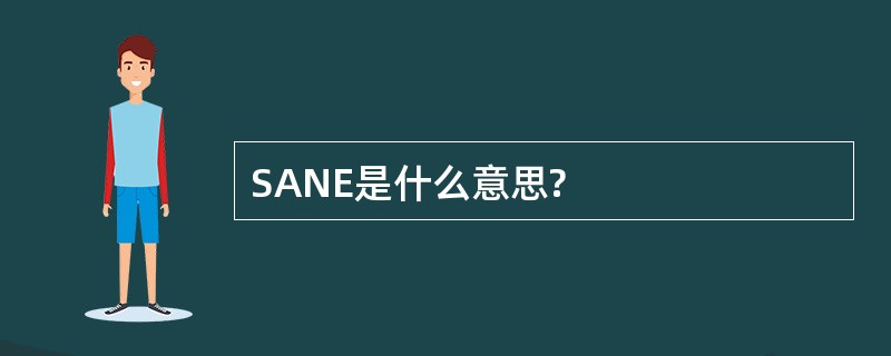 SANE是什么意思?