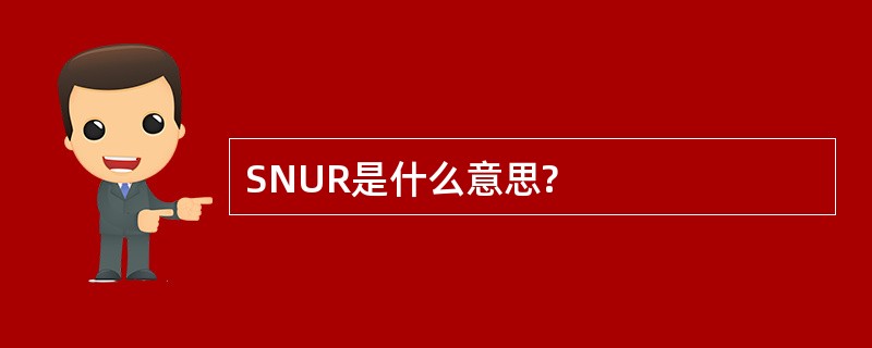 SNUR是什么意思?