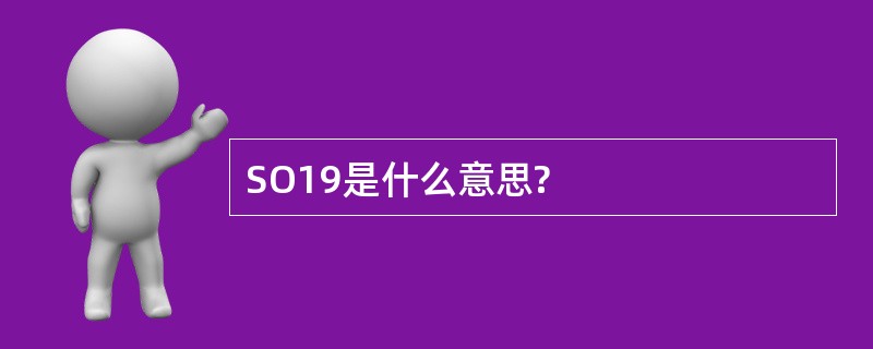 SO19是什么意思?