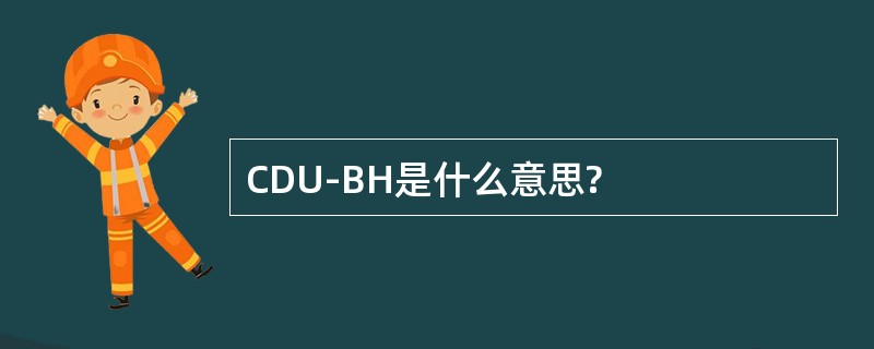 CDU-BH是什么意思?