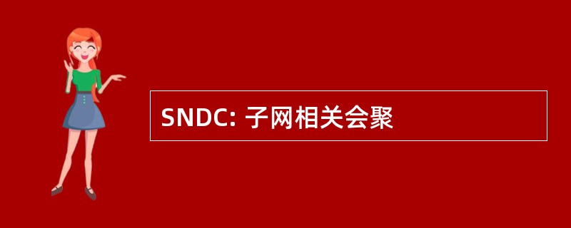 SNDC: 子网相关会聚