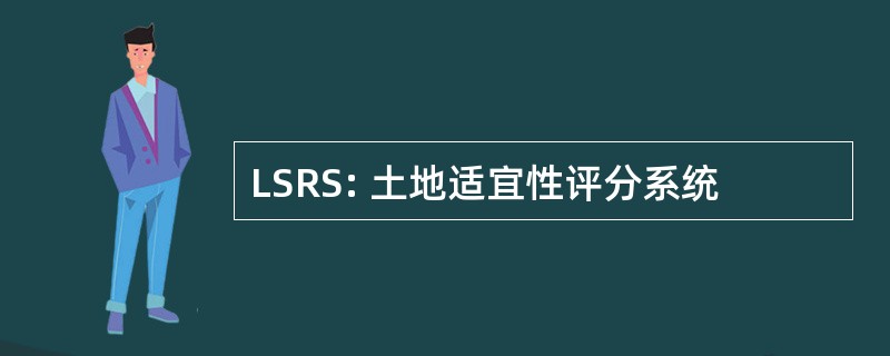 LSRS: 土地适宜性评分系统