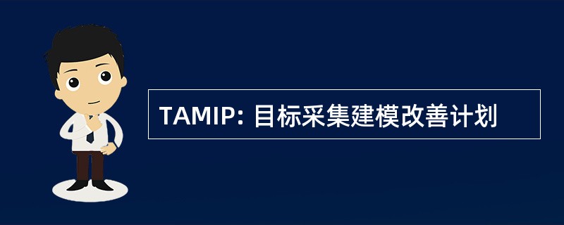 TAMIP: 目标采集建模改善计划