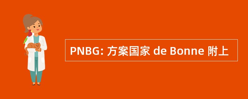 PNBG: 方案国家 de Bonne 附上