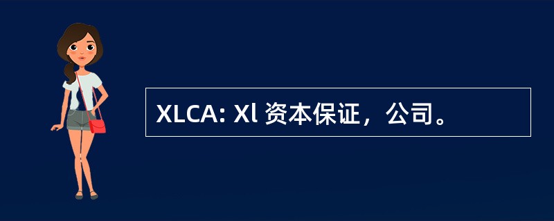 XLCA: Xl 资本保证，公司。