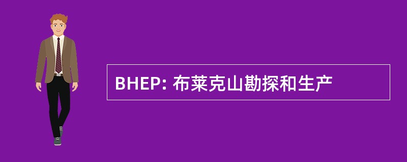 BHEP: 布莱克山勘探和生产