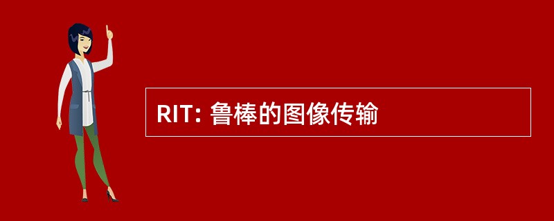 RIT: 鲁棒的图像传输