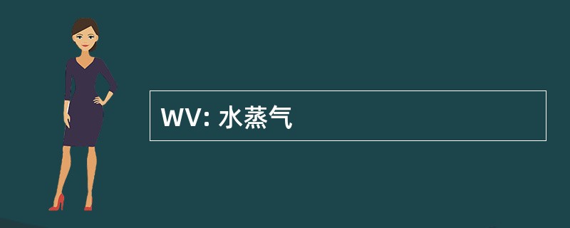 WV: 水蒸气