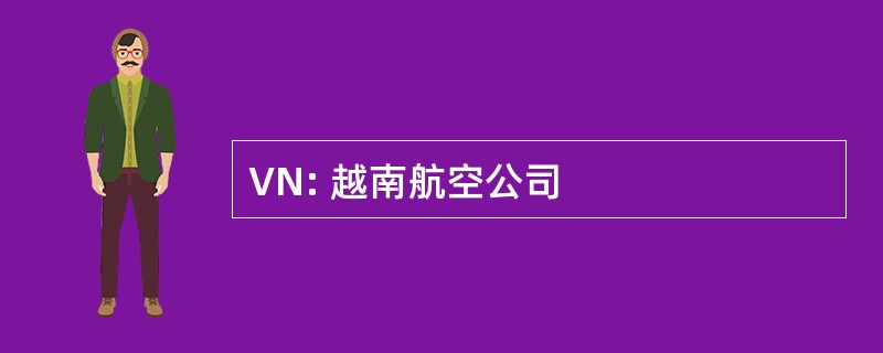 VN: 越南航空公司