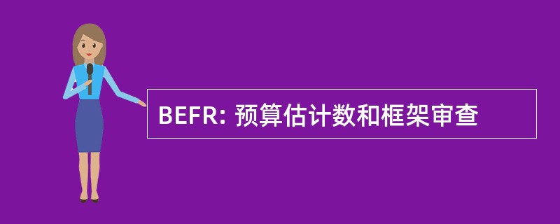 BEFR: 预算估计数和框架审查