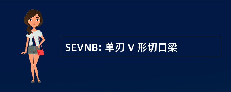 SEVNB: 单刃 V 形切口梁