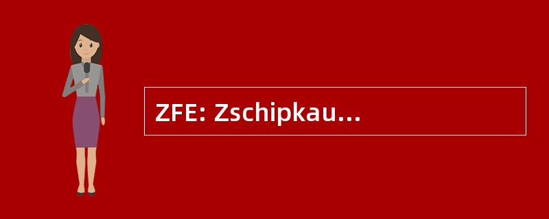 ZFE: Zschipkau Finsterwalder 德国