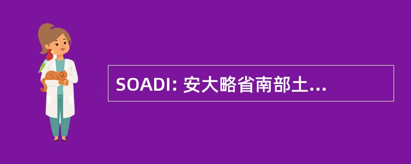 SOADI: 安大略省南部土著糖尿病倡议