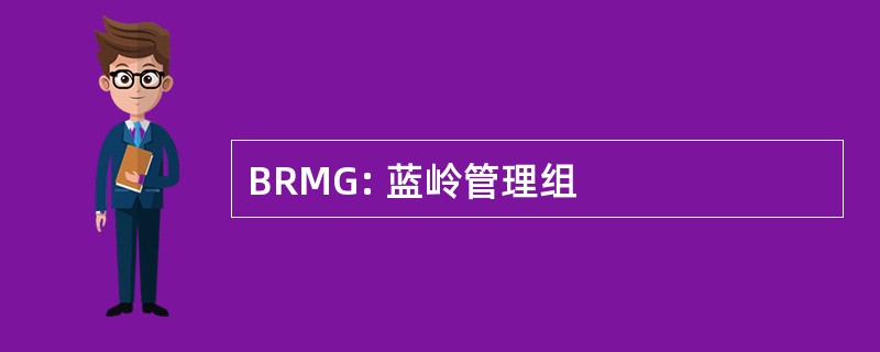 BRMG: 蓝岭管理组