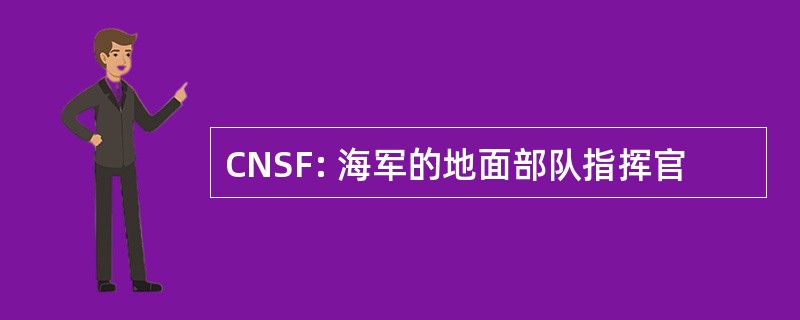 CNSF: 海军的地面部队指挥官