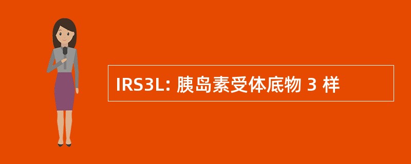 IRS3L: 胰岛素受体底物 3 样