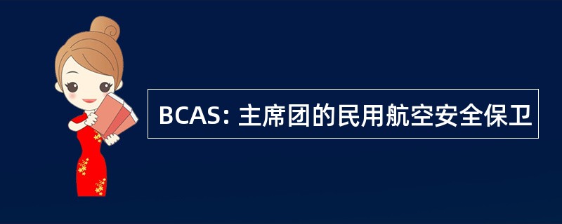 BCAS: 主席团的民用航空安全保卫