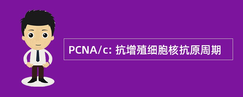 PCNA/c: 抗增殖细胞核抗原周期