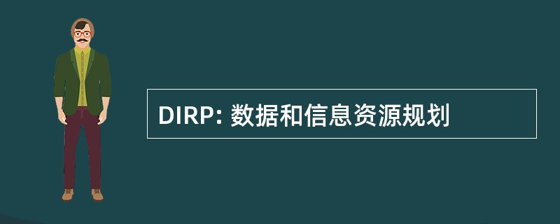 DIRP: 数据和信息资源规划