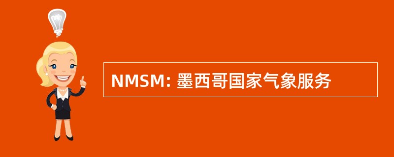 NMSM: 墨西哥国家气象服务