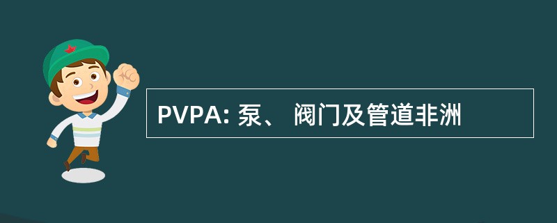 PVPA: 泵、 阀门及管道非洲