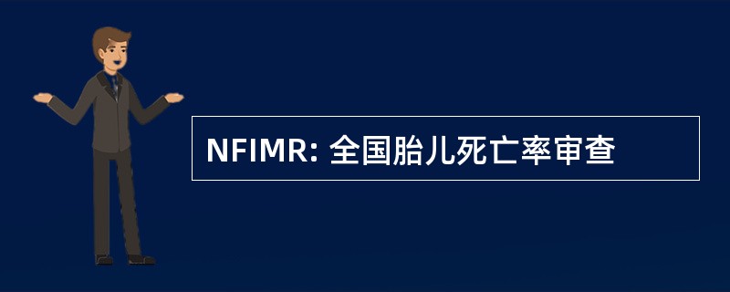 NFIMR: 全国胎儿死亡率审查