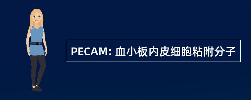 PECAM: 血小板内皮细胞粘附分子