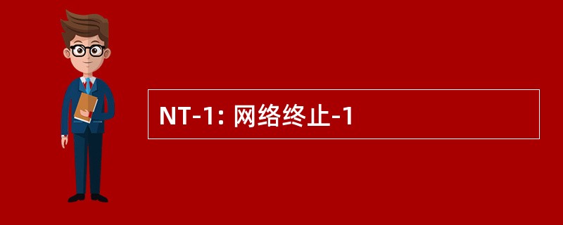 NT-1: 网络终止-1