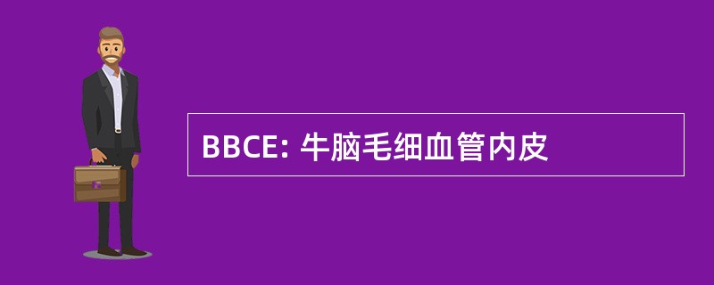 BBCE: 牛脑毛细血管内皮