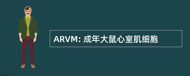 ARVM: 成年大鼠心室肌细胞