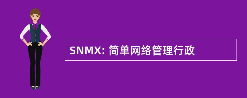 SNMX: 简单网络管理行政